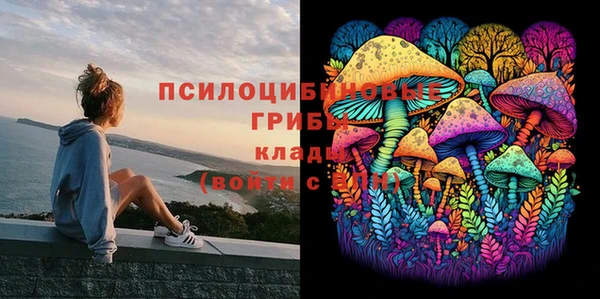 трава Армянск