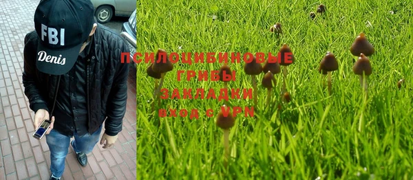 спайс Аркадак