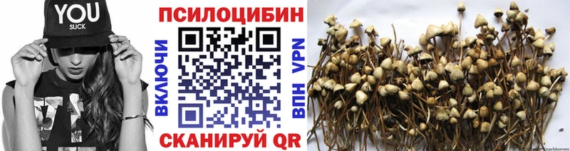 Галлюциногенные грибы GOLDEN TEACHER Татарск